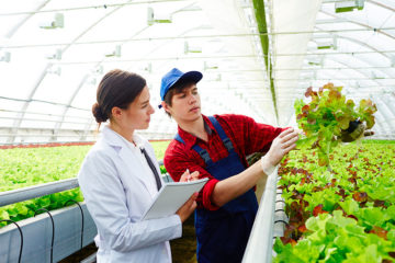 métier dans agriculture