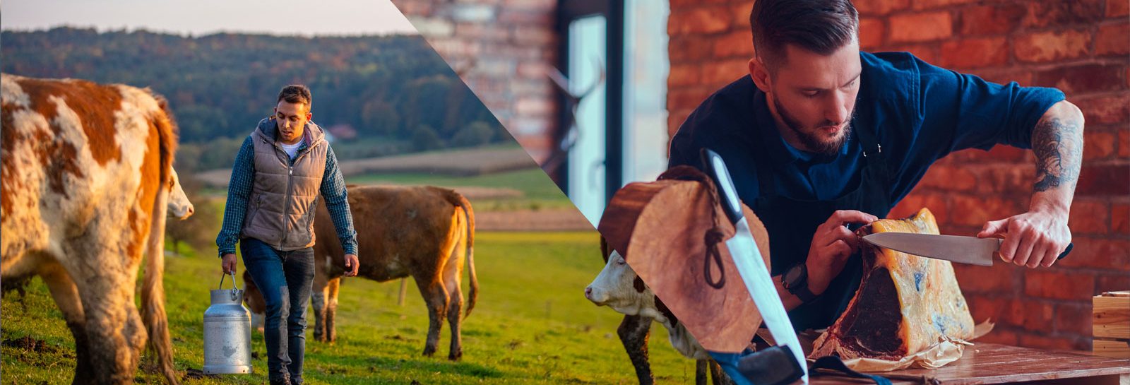 Agri Team, métiers de bouche sur la région Grand Est